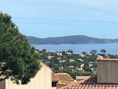 T3 vue mer avec piscine