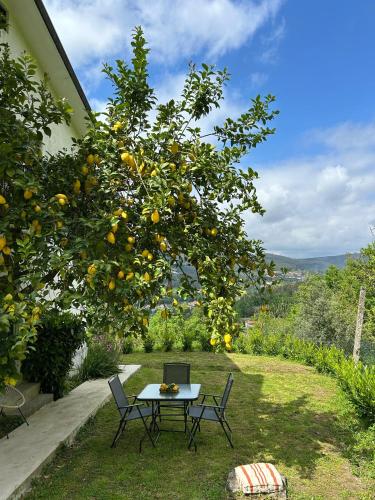 a table and chairs sitting under an orange tree at Casa de Fráguas in Arouca