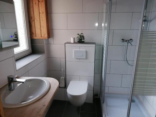 a bathroom with a toilet and a sink and a shower at Pension Rippachtal 2 in Lützen