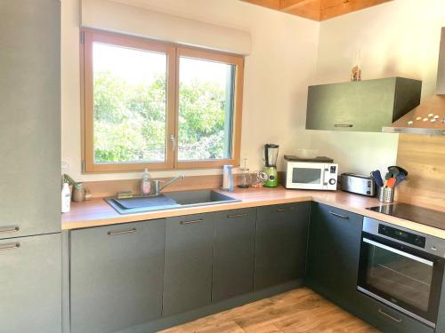 une cuisine avec un évier et un micro-ondes dans l'établissement Le Chalet des Mers Confort pour 6 à 8 personnes à Berck-Plage, à Berck-sur-Mer