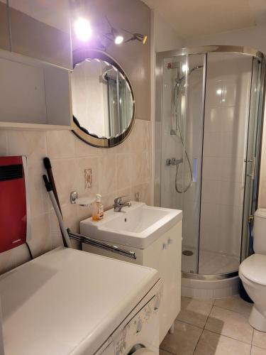 une salle de bain avec un lavabo, une douche et des toilettes dans l'établissement Appartement 2 pièces - un petit coin de paradis, à La Grande Motte