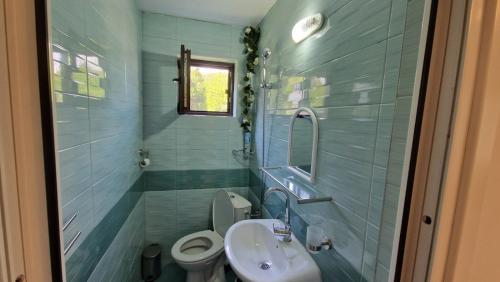 a bathroom with a sink and a toilet at Къщи за гости Тепавица - Pool & Coworking in Tryavna