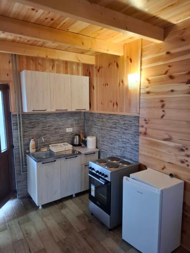 a kitchen with wooden walls and a stove top oven at Bungalovi 3AS in Žabljak