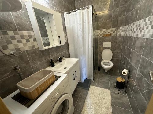 Koupelna v ubytování Apartman Pavlović Lux