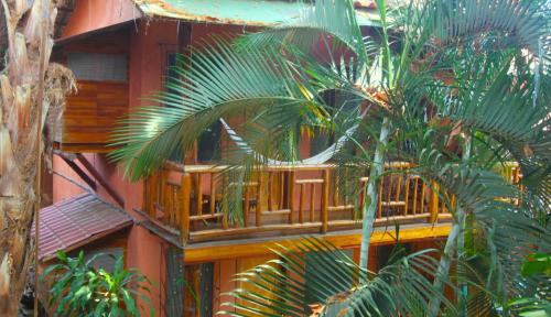 a building with a palm tree in front of it at Tico Adventure Lodge in Sámara