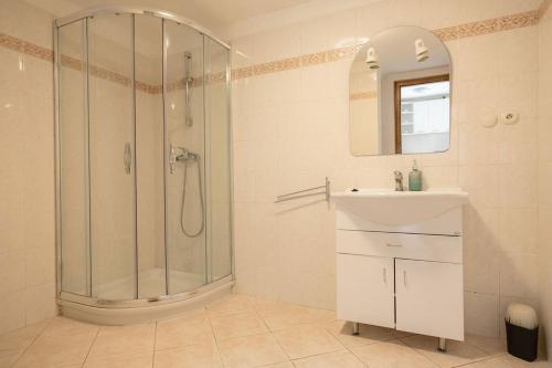 a bathroom with a shower and a sink and a mirror at Mlýn Kamenice in Klučenice