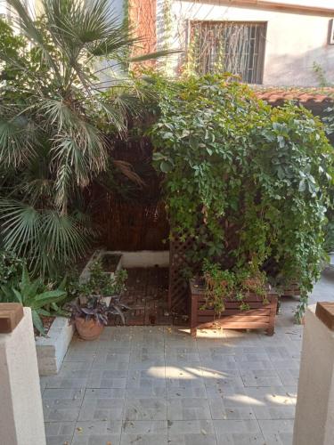 a garden with a bench and a bunch of plants at Dimora La Fenice in Licola