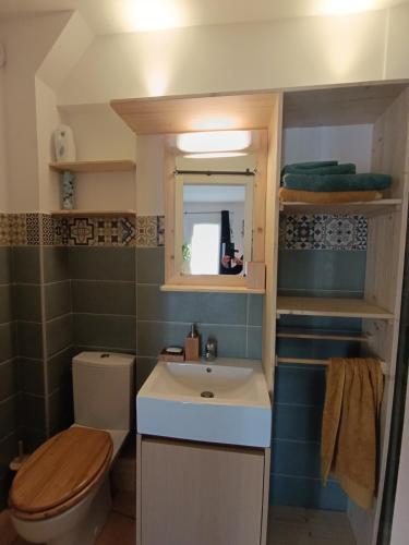 une petite salle de bain avec un lavabo et des toilettes dans l'établissement Studio cosy tout confort, à Amélie-les-Bains-Palalda