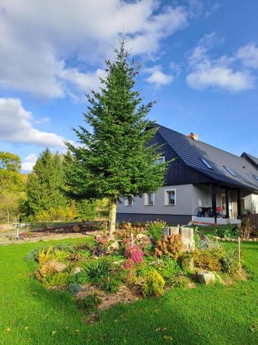 Kamienny Zakątek w Górach Bystrzyckich, Zieleniec SKY, Czarna Góra Resort, Spalona