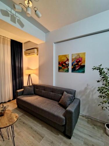 Cozy Downtown Apartment