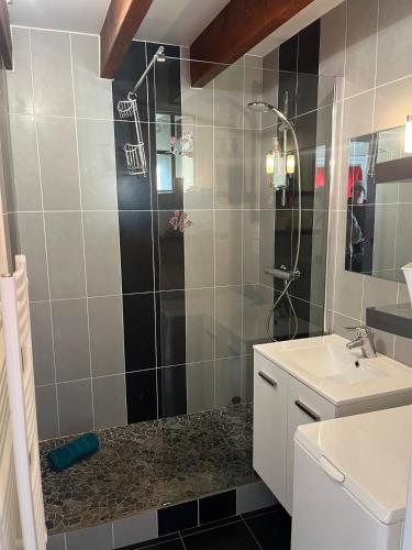 une salle de bain avec douche et lavabo dans l'établissement La Coccinelle, à Gujan-Mestras