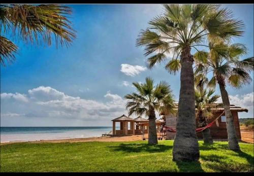 ein Haus am Strand mit Palmen und einer Hängematte in der Unterkunft Thalassa Beach Resort - 108 in Vokolidha