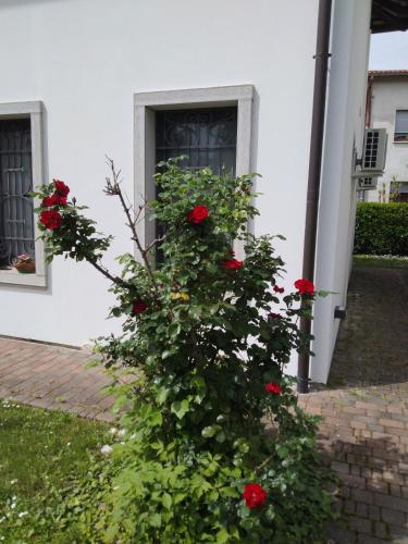a bush of red roses in front of a house at Suite Coccinella in Udine