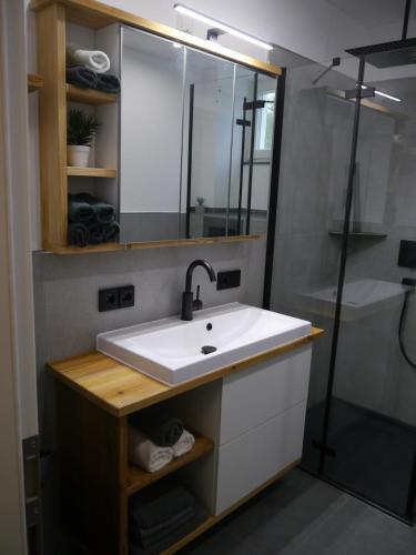 a bathroom with a sink and a shower at renovierte Altbauwohnung im Oberallgäu in Immenstadt im Allgäu