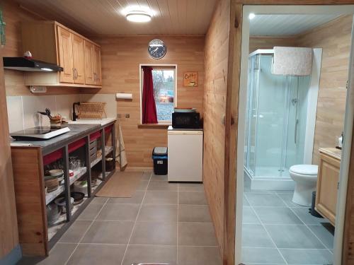 une salle de bain avec toilettes, lavabo et douche dans l'établissement appartement de plain-pied tout confort, à Carla-Bayle