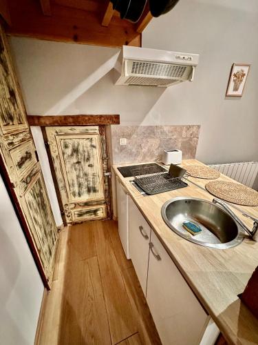 une petite cuisine avec un évier et un comptoir dans l'établissement Agréable studio plein centre, à Saint-Gaudens