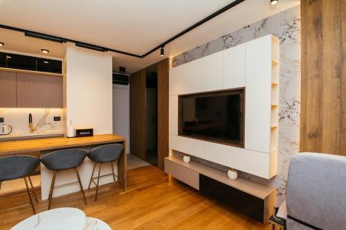 Luxury Apartment