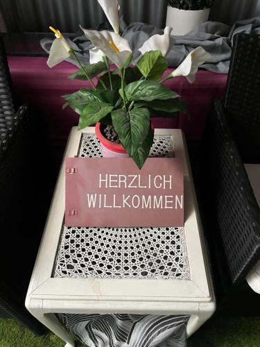 a table with a potted plant on top of it at Viktera Modernes Apartment mitten in der Stadt und doch sehr ruhig Zu Therme 2 Minuten in Bad Ems