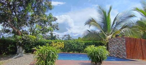 Πισίνα στο ή κοντά στο Hermosa Cabaña en Chachagua