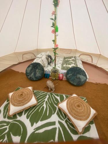 a dog laying on the ground in a tent at Country Bumpkins Luxury Glamping in Wellingore