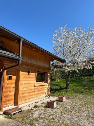 una cabina in legno con una porta e un albero di Small cottage a Contamine-sur-Arve