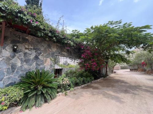 Taman di luar Casa Shanti