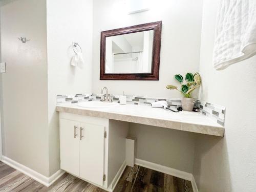a bathroom with a sink and a mirror at SFA Retreat, Spacious Downtown Apartment in Nacogdoches