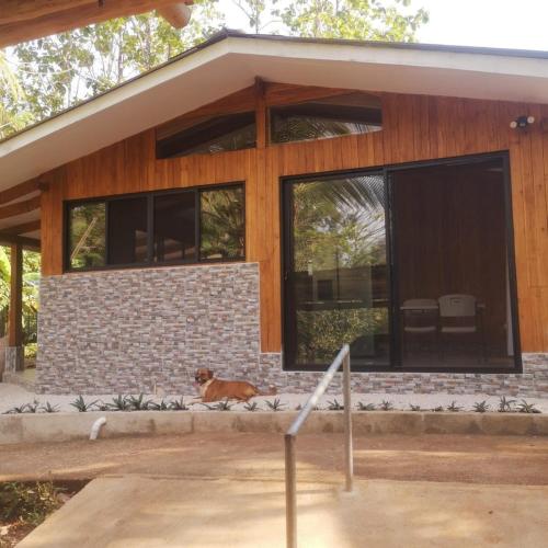 a dog sitting in front of a house at House in Playa Carrillo in Tapantí