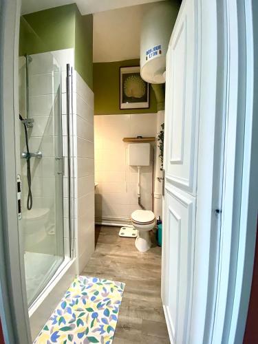 La salle de bains est pourvue d'une douche, de toilettes et d'un tapis. dans l'établissement Appartement entier Lyon Sans-souci & Monplaisir, à Lyon