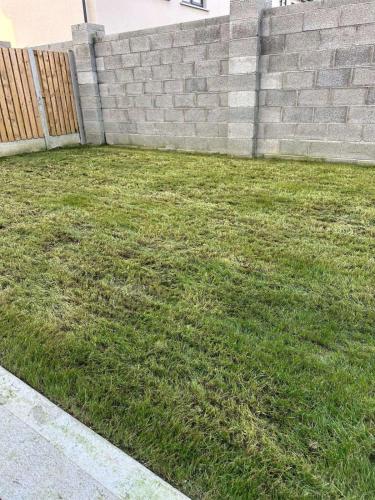 a grassy yard with a retaining wall and a fence at Cosy and beautiful home Vegetarians only in Dublin