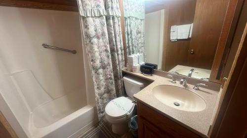 a bathroom with a sink and a toilet and a shower at Chimney Rock Condo condo in Stateline
