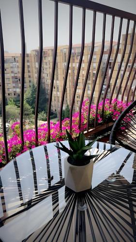 Apartment in Center of Prishtina
