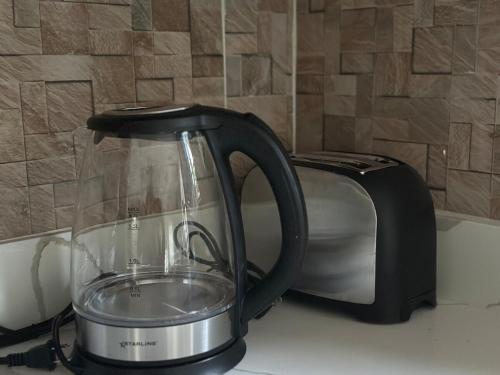 a blender sitting on a counter next to a toaster at Bird Bliss Burlington Portland in Port Antonio
