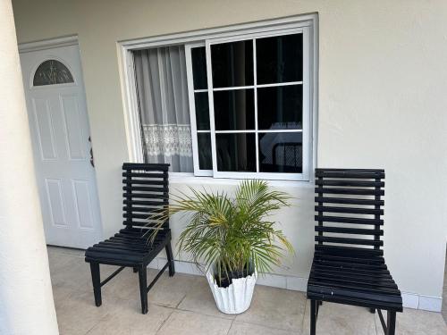 two black chairs and a plant in a window at Bird Bliss Burlington Portland in Port Antonio