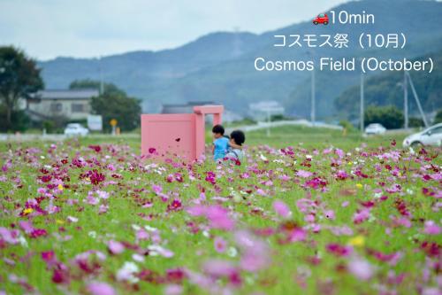 two children playing in a field of flowers at サウナ&ステイ吉日荘-益子町のサウナ付の貸切古民家 BBQ 高速Wi-fi in Mashiko