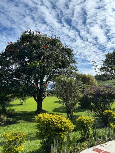 Zahrada ubytování Finca Hotel Paraiso Urrao