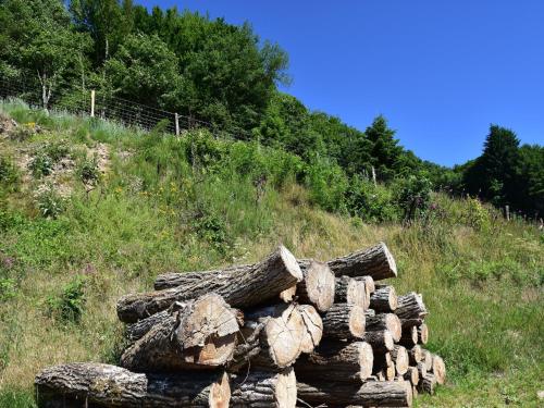 a pile of logs sitting on top of a hill at Holiday Home in St Honoré with Scenic Views in Saint-Honoré-les-Bains