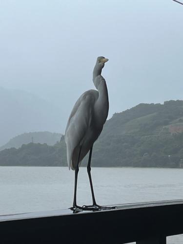 ゲストハウスの近くで見られる自然の景観