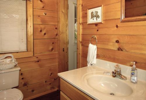 a bathroom with a sink and a toilet at Jon's Pond on Cosby Creek in Cosby