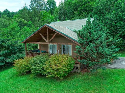 a small house in the middle of a forest at Smoky Mountain Getaway in Cosby