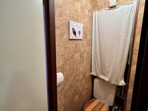 La salle de bains est pourvue de toilettes et d'un rideau de douche blanc. dans l'établissement Charmant T2 avec balcon au cœur de la station - FR-1-787-126, à Laveissière