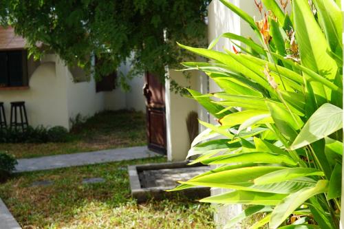 Taman di luar La Casetta Kê Gà