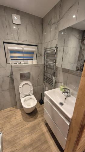 a bathroom with a white toilet and a sink at Domek Pod Gwiazdami in Zwiernik