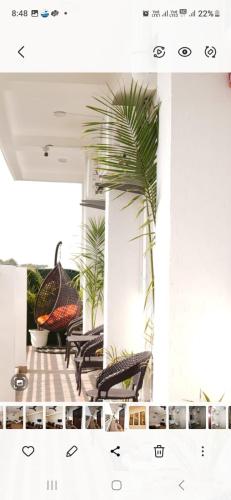 a balcony with chairs and a palm tree at Hotel Parth Luxurious in Haldwāni
