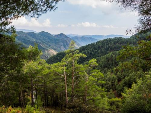a view of the mountains from the forest at Sanders Arsorama Arsos in Arsos