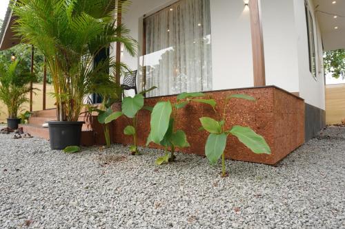 Gallery image of Seven hillview Cottage in Thodupuzha