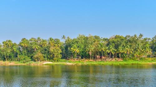 a view of a river with trees in the background at Pranayakulam Riverside stay in rustic village in Talayolaparambu