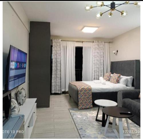 TV a/nebo společenská místnost v ubytování TSAVO Apartment