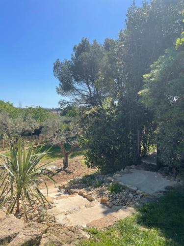 a garden with trees and a stone path at Gite au cœur des vignes in Béziers