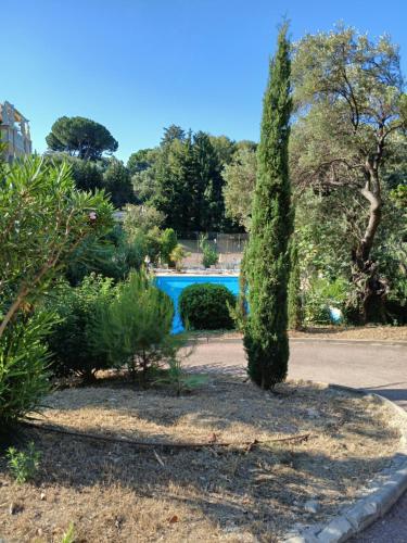 Résidence de luxe entourée d'un parc et d'une piscine olympique